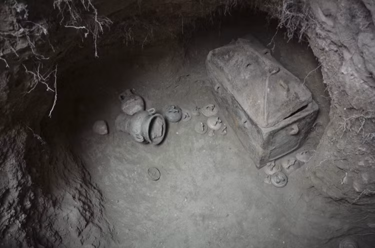 5-3689.png