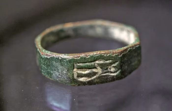 2-5583.jpg
