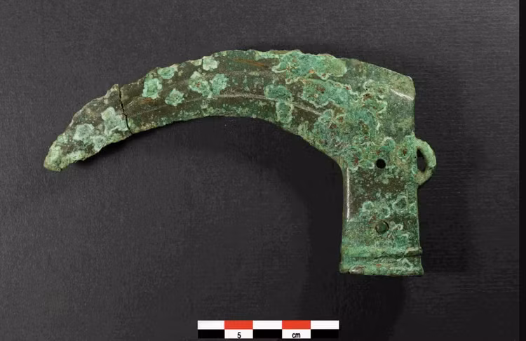 3-2478.png