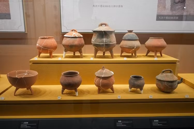 5-8579.jpg