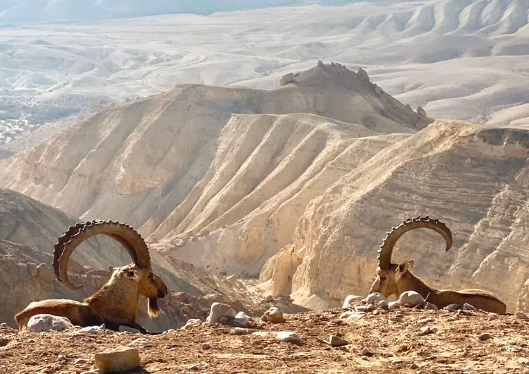 8-5798.png