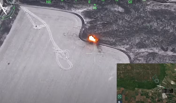 7.png