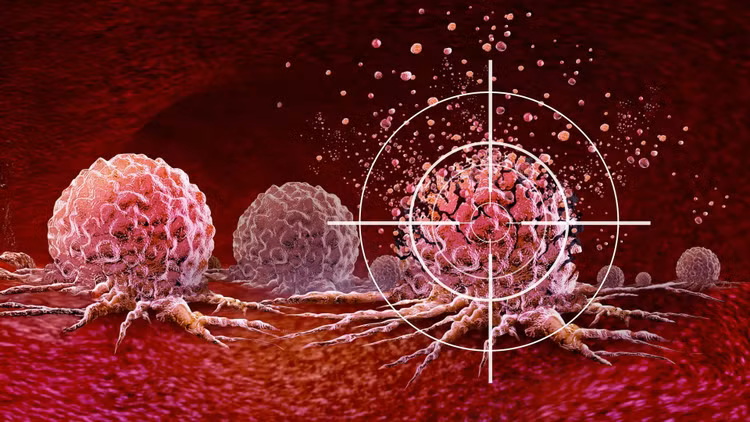 targeting-cancer-cells-ultrasound.jpg
