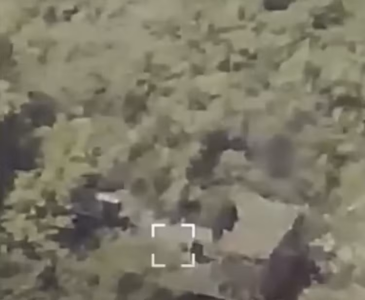 8.png