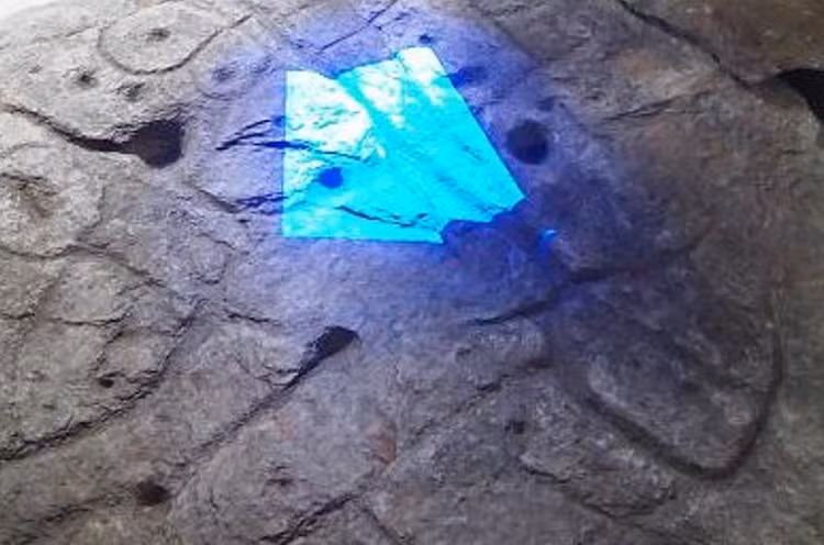 6.png