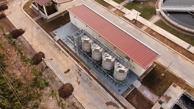 image-5.jpg