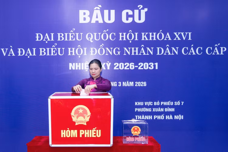 06a007ff4d6dc3339a7c.jpg