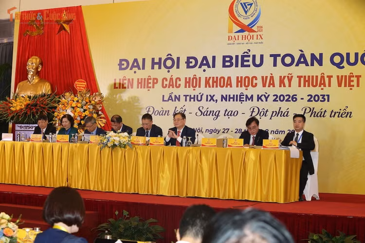 kto-tl_ta922175.jpg