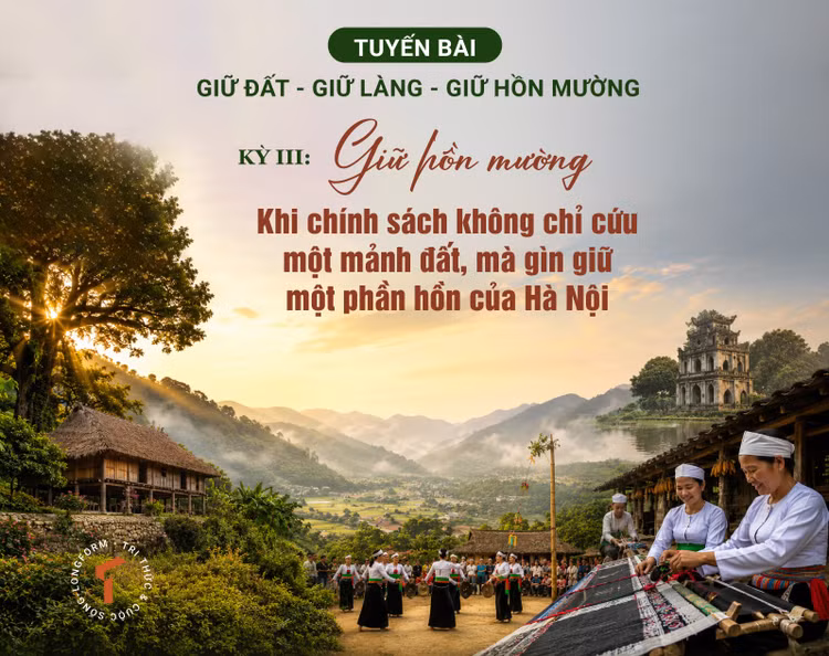 nghi-quyet-11-ky-3-1.jpg