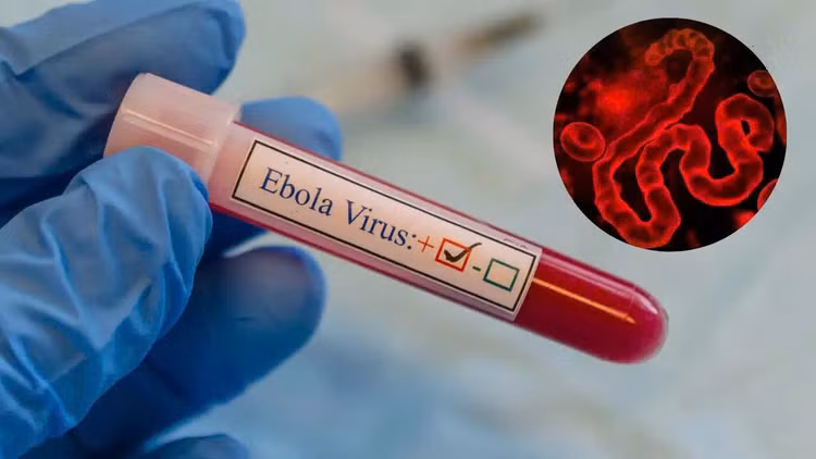 ebolaanh-istock-1779427767962153867211.jpg