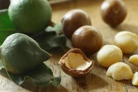 Cây mắc ca có nguồn gốc từ Australia, sau đó được trồng tại nhiều quốc gia có khí hậu phù hợp như Nam Phi, Trung Quốc và một số nước Đông Nam Á. Ảnh BHX