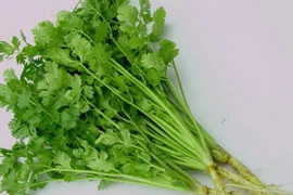 Giữ ấm, tăng đề kháng mùa đông với loại rau gia vị quen thuộc