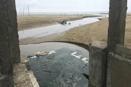 Công ty Đại Thành bị phạt 320 triệu đồng vì nuôi tôm không có giấy phép