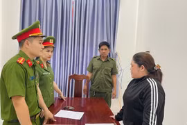 Hà Tĩnh khởi tố vụ án trốn thuế liên quan đến Trần Thị Tuyết Anh