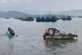 Tàu cá gặp nạn tại Quảng Trị, 4 ngư dân được cứu kịp thời