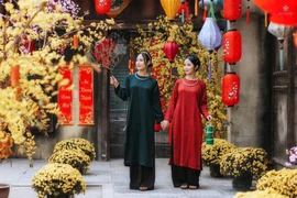 Đừng để Tết trôi qua trong mệt mỏi