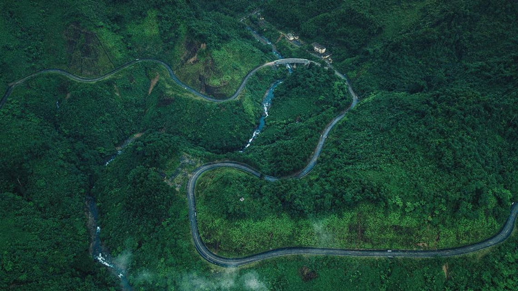 Động vật quý hiếm tại Xuân Liên lọt bẫy ảnh lên báo nước ngoài Dong vat quy hiem tai Xuan Lien lot bay anh len bao nuoc ngoai