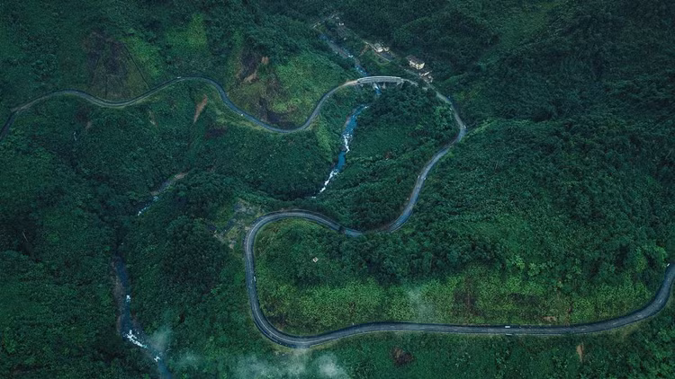 Dong vat quy hiem tai Xuan Lien lot bay anh len bao nuoc ngoai