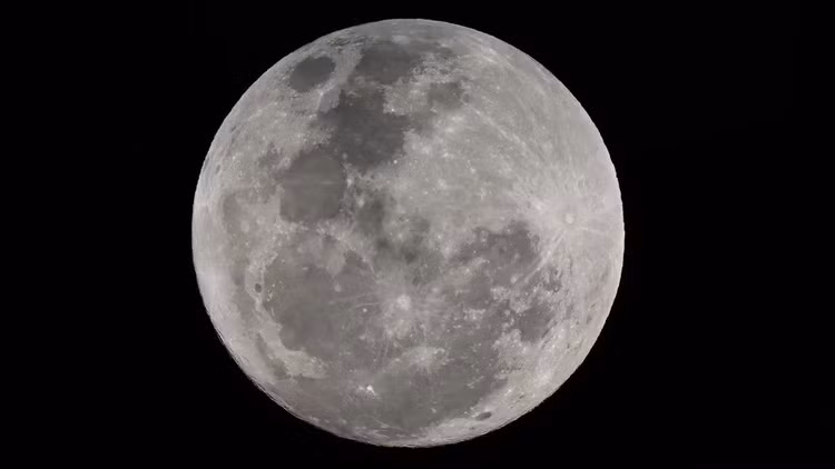 Ngam nhung lan sieu trang xanh dep lung linh xuat hien tren the gioi-Hinh-2