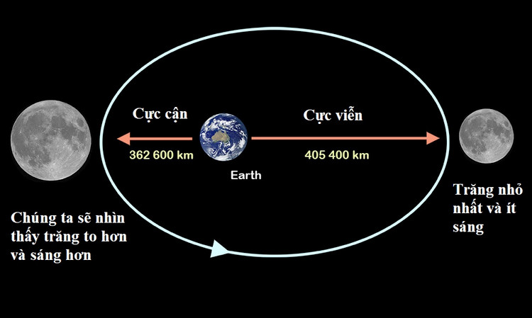 Ngam nhung lan sieu trang xanh dep lung linh xuat hien tren the gioi-Hinh-3