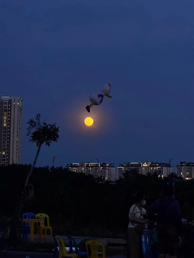 Ngam nhung lan sieu trang xanh dep lung linh xuat hien tren the gioi-Hinh-16