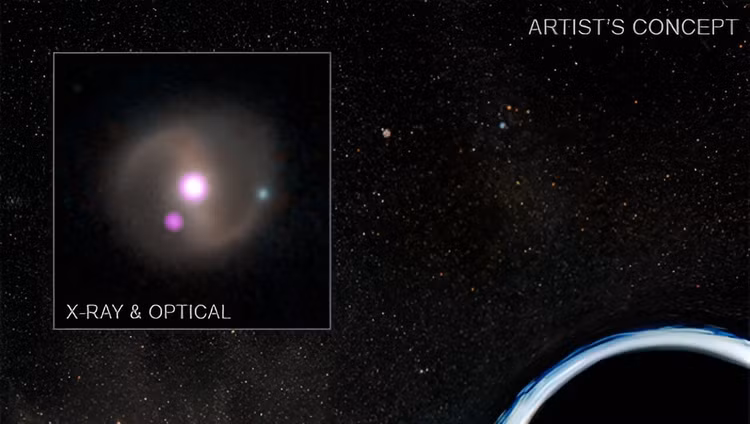 Ho den xe toac ngoi sao, dung manh vo tan cong ngoi sao khac-Hinh-10