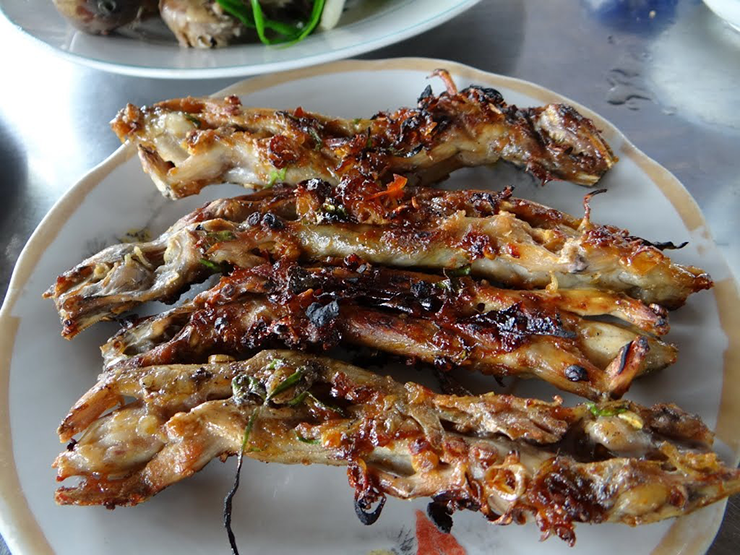 Kiếm bộn tiền từ loài 'rắn 4 chân' hiền khô nhút nhát - Hình 9 Kiem bon tien tu loai 'ran 4 chan' hien kho nhut nhat-Hinh-9