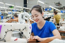 TNG lập đỉnh lợi nhuận quý 2, cổ phiếu tăng tốc