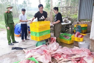 Bắc Ninh phát hiện gần 800kg thịt lợn thối chuẩn bị đưa lên bàn ăn