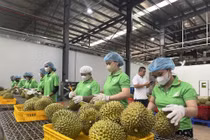 [VIDEO] Việt Nam chia sẻ hệ thống truy xuất nguồn gốc nông sản với Trung Quốc