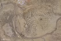 [VIDEO] El Nino có khả năng quay lại từ tháng 6 ảnh hưởng đến Việt Nam
