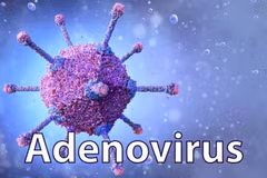 Virus Adenovirus gia tăng, đe dọa sức khỏe trẻ em mùa giao mùa