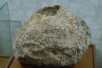 PGS Vũ Văn Tuyển người đột phá trong bảo vệ đê điều