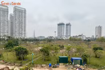 Vườn hoa Nhật Tân rác thải ngổn ngang, nhiều khu vực bị chiếm dụng