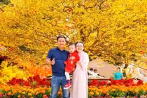 Green Paradise Tet Fest - “Cú chạy đà” ngoạn mục đưa Cần Giờ bứt tốc thành siêu điểm đến lễ hội 