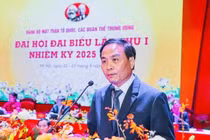 Đảng bộ Liên hiệp hội Việt Nam đổi mới hoạt động vì sự phát triển đất nước