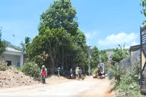 Chuẩn Bị chu đáo nơi an táng nguyên Chủ Tịch Trần Đức Lương