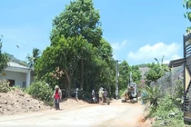 Chuẩn Bị chu đáo nơi an táng nguyên Chủ Tịch Trần Đức Lương