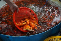 Chợ cá sôi động chuẩn bị Tết ông Công ông Táo