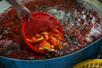 Chợ cá sôi động chuẩn bị Tết ông Công ông Táo