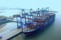 Kinh tế Quảng Ngãi khởi sắc trong tháng đầu năm 2026