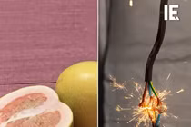 Bất ngờ công nghệ biến vỏ bưởi thành thiết bị phát điện 