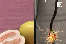 Bất ngờ công nghệ biến vỏ bưởi thành thiết bị phát điện 