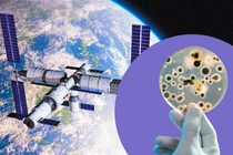 Phát hiện vi khuẩn đột biến tại trạm không gian Trung Quốc