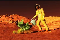 Nếu trồng cây trên sao Hỏa, chuyện kỳ lạ nào sẽ xảy ra? 