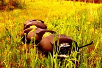 Rết robot dẹp cỏ dại khéo léo như người nông dân 