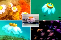 Cận cảnh sứa robot di chuyển nhẹ nhàng trong đại dương 