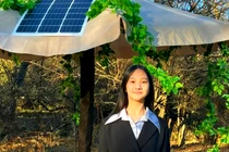  Thú vị bẫy chạy bằng AI tiêu diệt côn trùng 