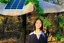  Thú vị bẫy chạy bằng AI tiêu diệt côn trùng 