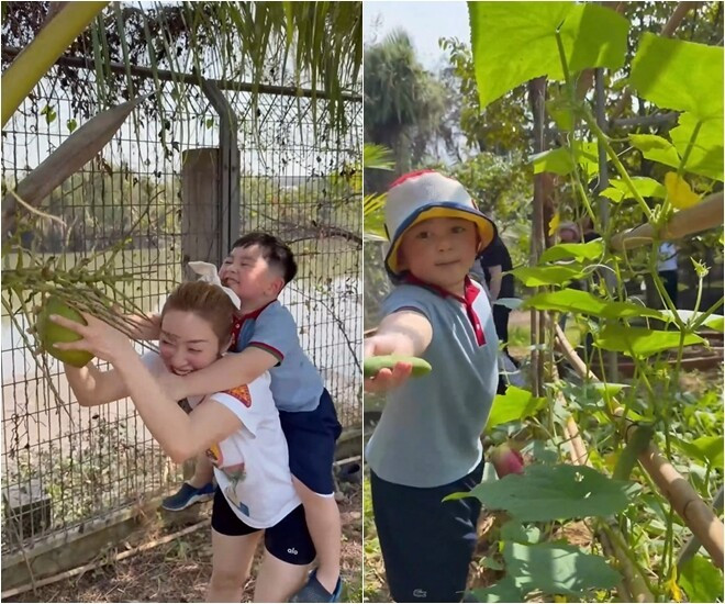 Bên cạnh các loại rau hữu cơ, nhiều cây ăn trái như mít, dừa đang vào mùa trĩu quả. Ảnh chụp màn hình